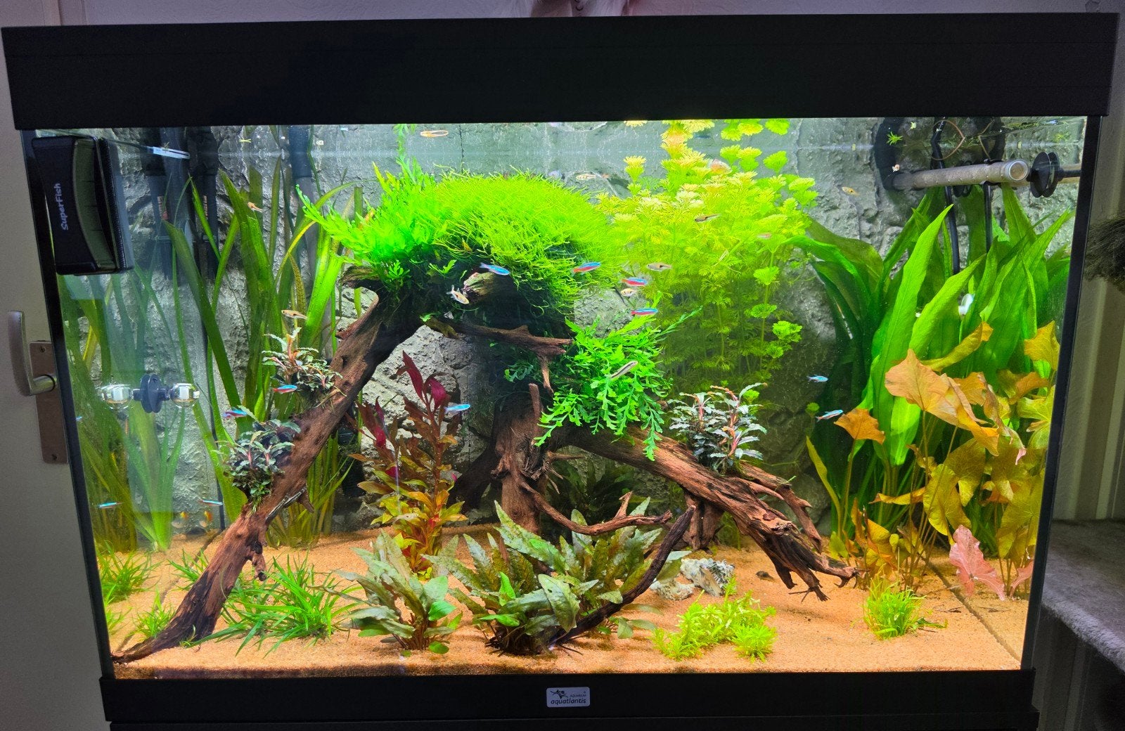 aquarium aquatlantis splendit 80 ultra, Dieren en Toebehoren, Ophalen of Verzenden