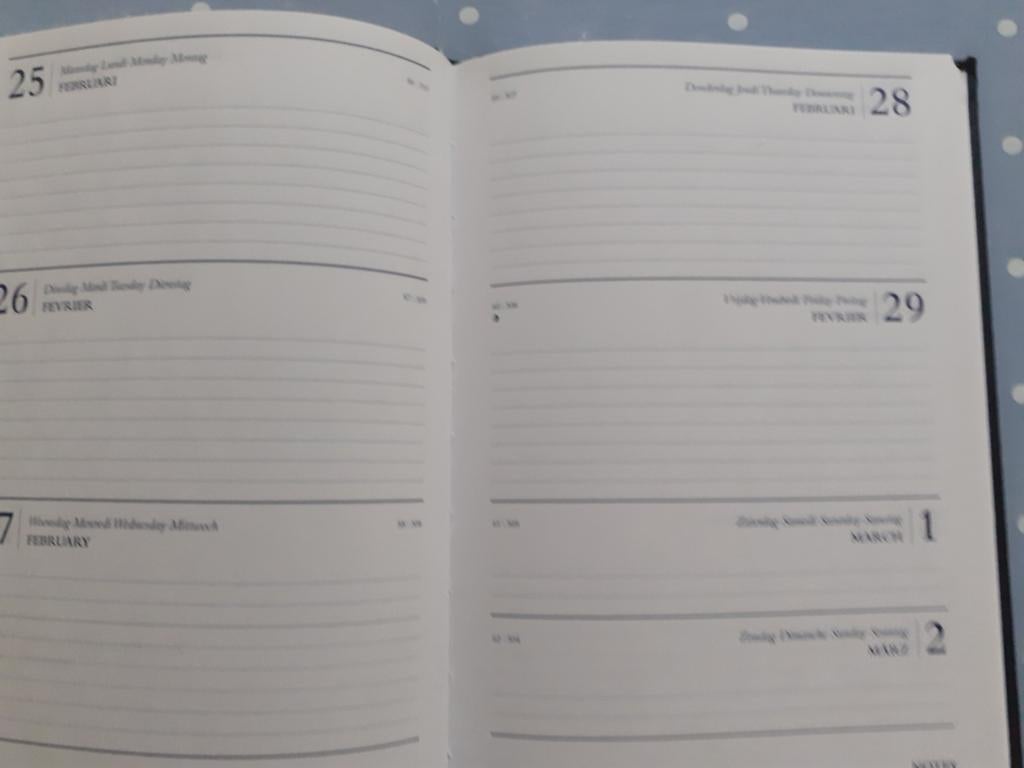 nieuwe look-like AGENDA van 2025, Diversen, Ophalen of Verzenden, Nieuw