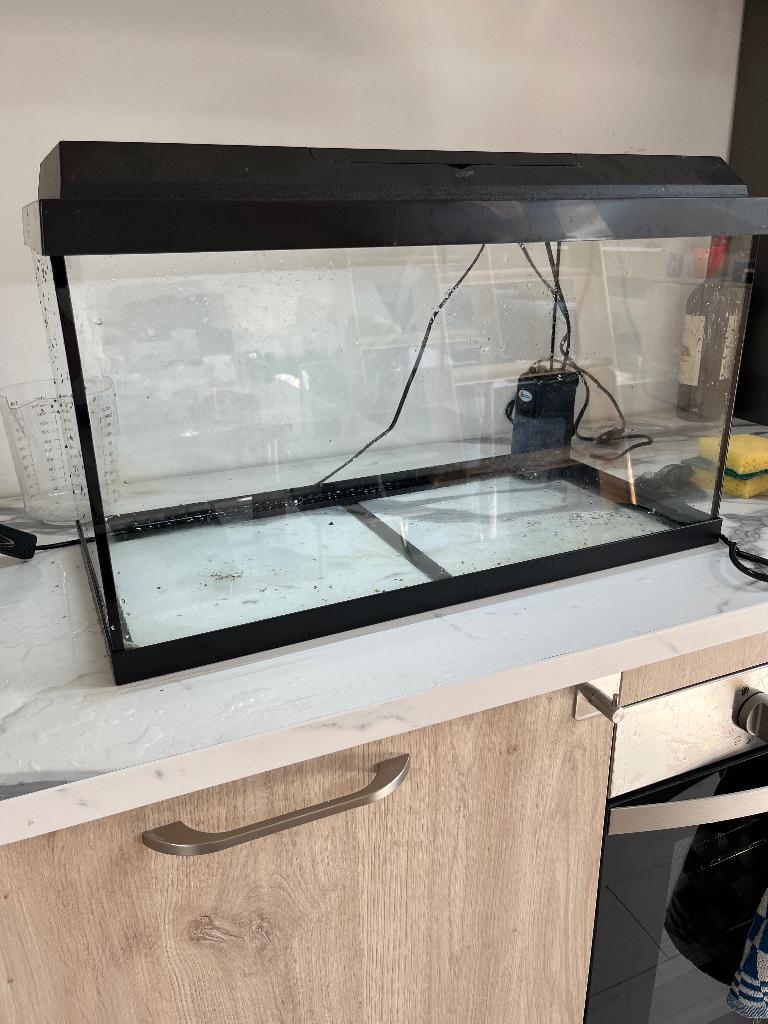 Aquarium 60cm, Dieren en Toebehoren, Ophalen, Zo goed als nieuw, Leeg aquarium
