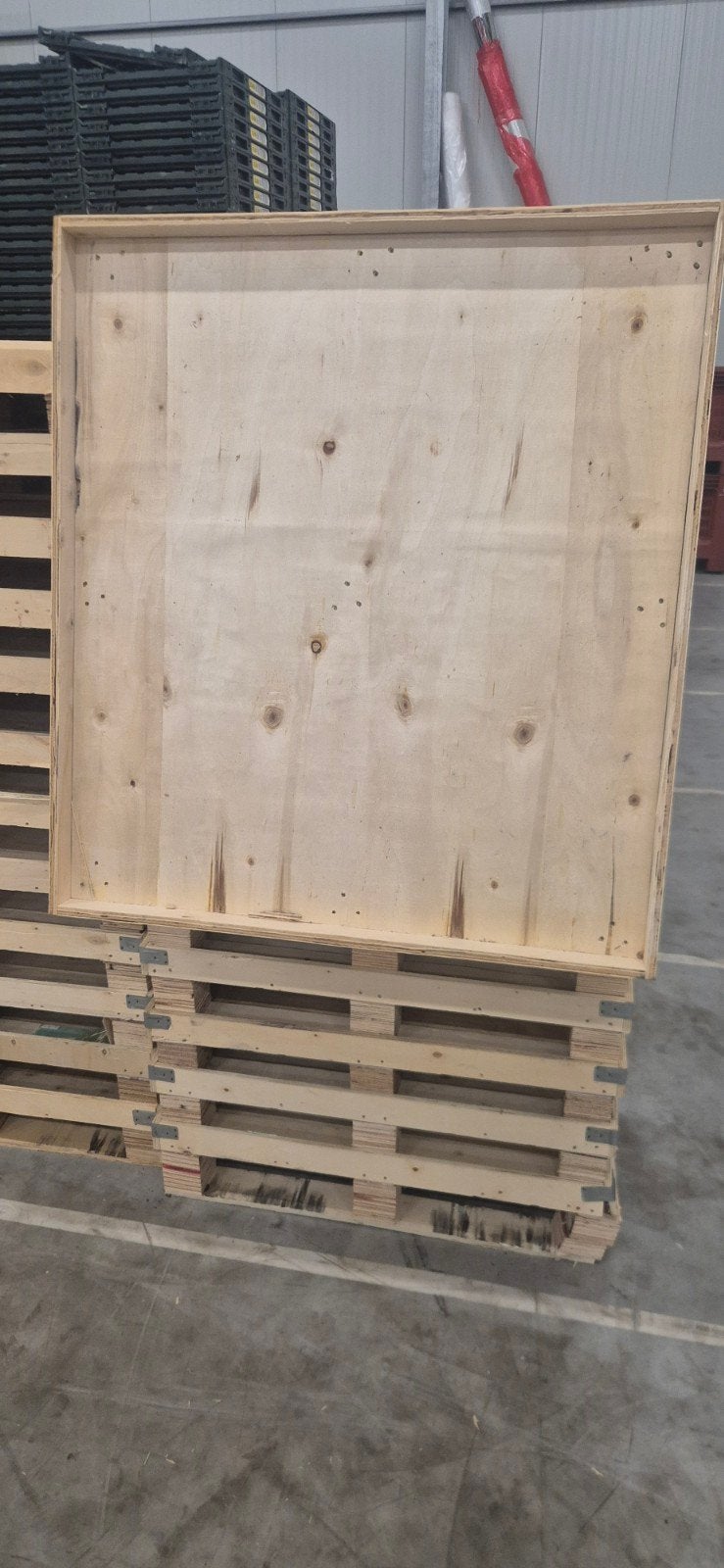 partij pallets met opzetrand 96 x 107, 5 cm rand. 240 stuks, Ophalen of Verzenden, 50 mm of meer, Pallet, Minder dan 200 cm