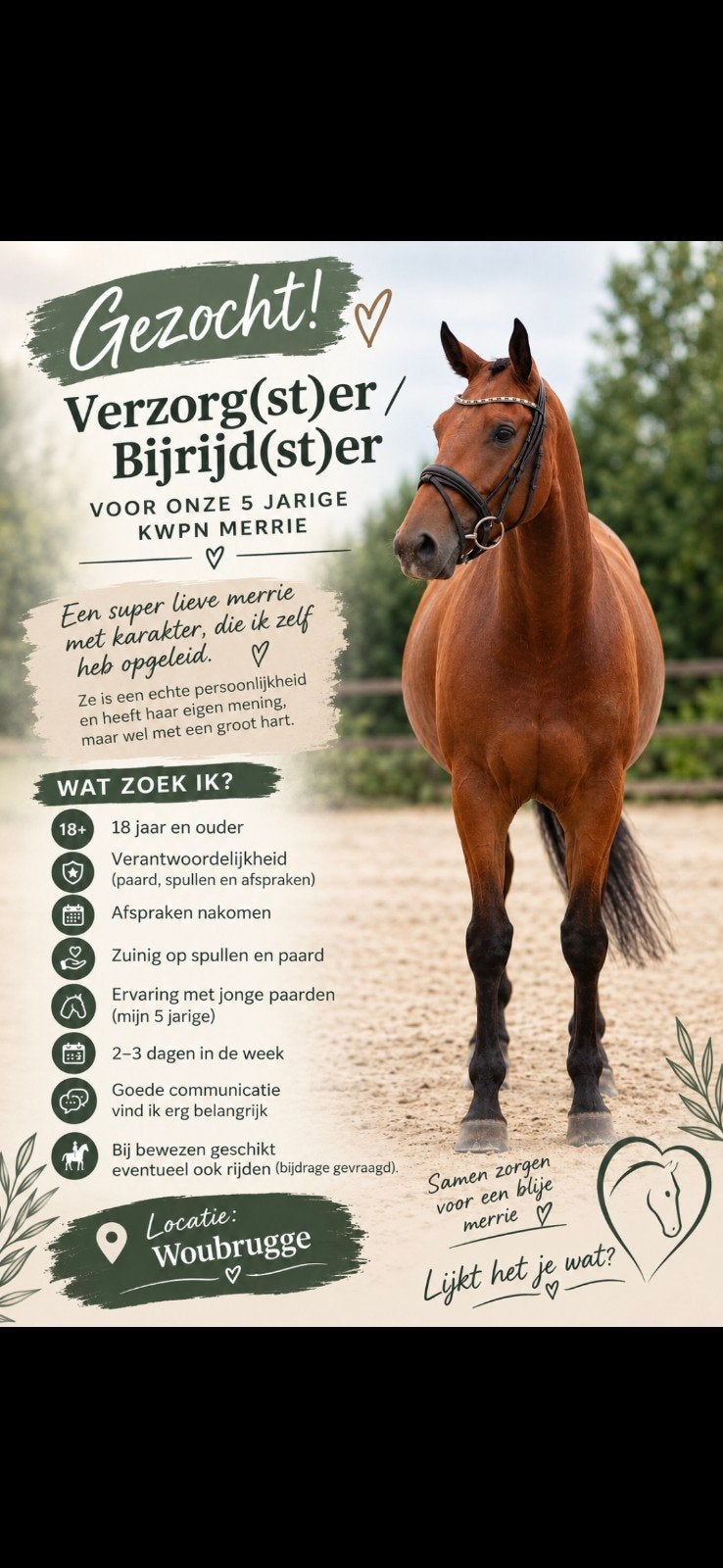 Gezocht! verzorg(st)er/bijrijd(st)er lieve merrie -Woubrugge, Ophalen, Nieuw