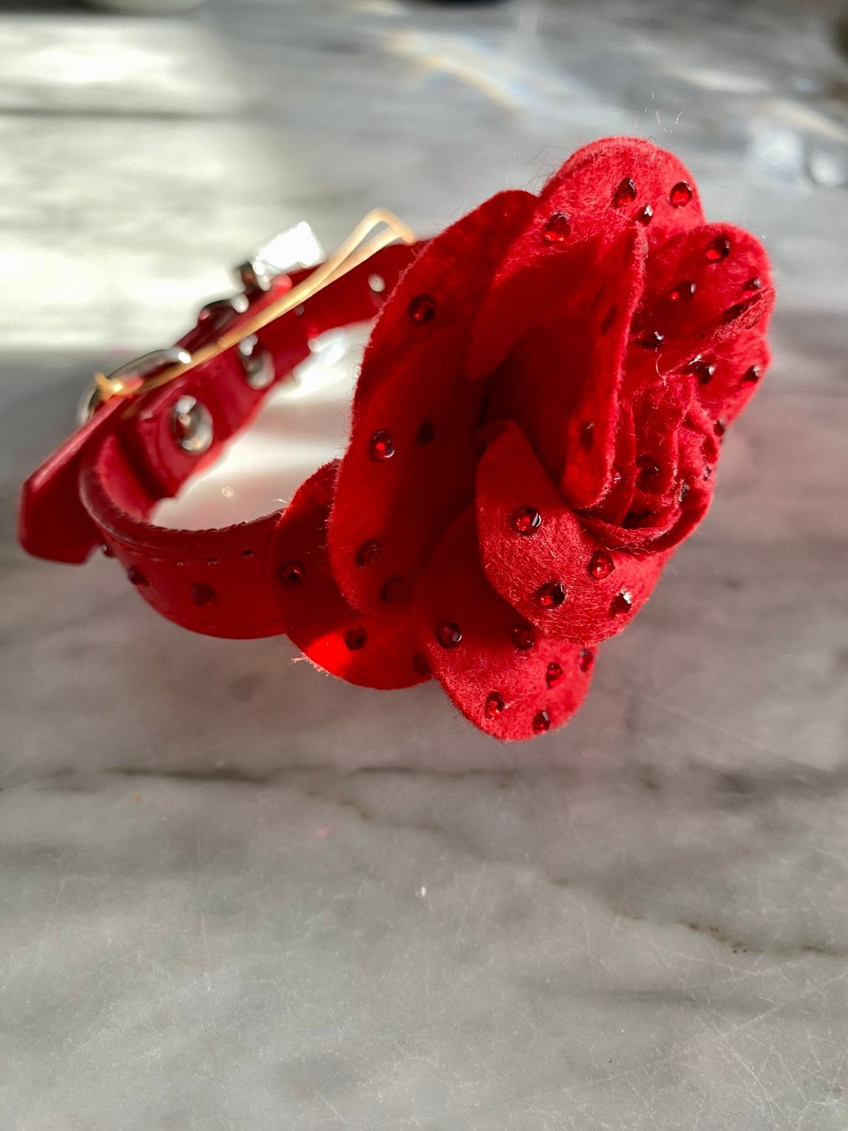 Halsband chihuahua hond spanje, Ophalen of Verzenden, Nieuw