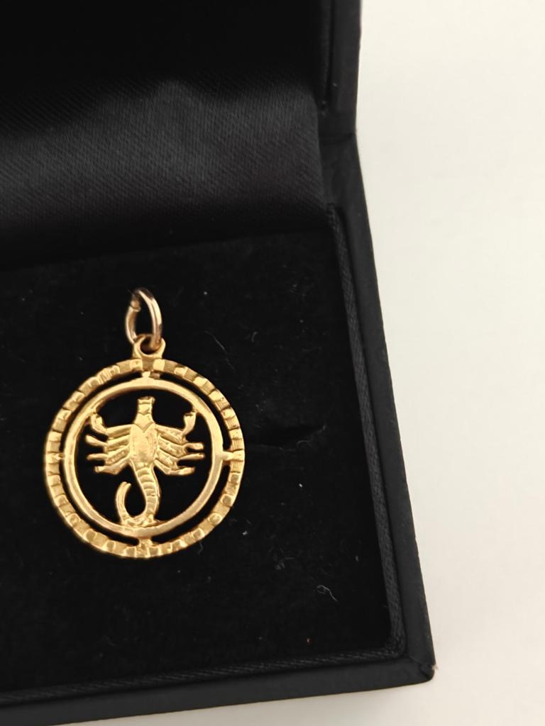 Mooie gouden schorpioen hanger. 14 karaat., Ophalen of Verzenden, Zo goed als nieuw, Goud, Goud