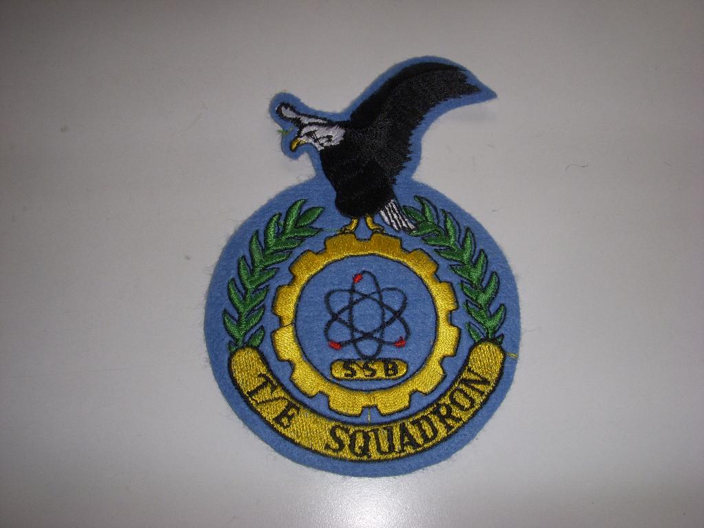 Bijzondere batch SSB T/E Squadron Koninklijke Luchtmacht, Ophalen of Verzenden, Luchtmacht, Nederland, Embleem of Badge