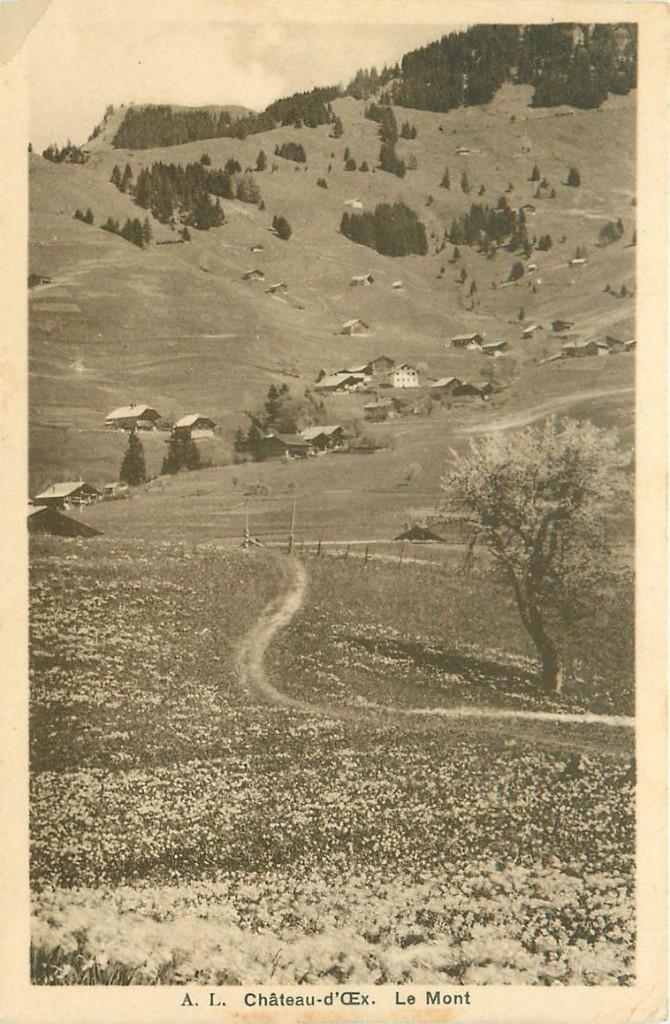 701-495-049 Chateau d Oex, Verzenden, Voor 1920, Overig Europa