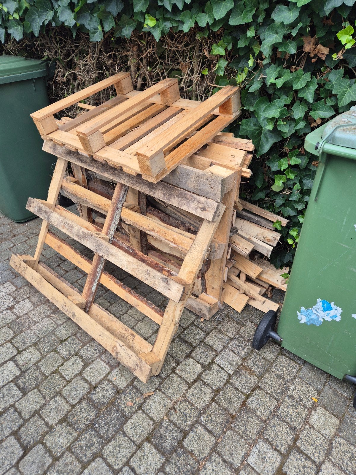 Gratis brandhout af te halen, Ophalen, Overige houtsoorten, Minder dan 200 cm, Pallet