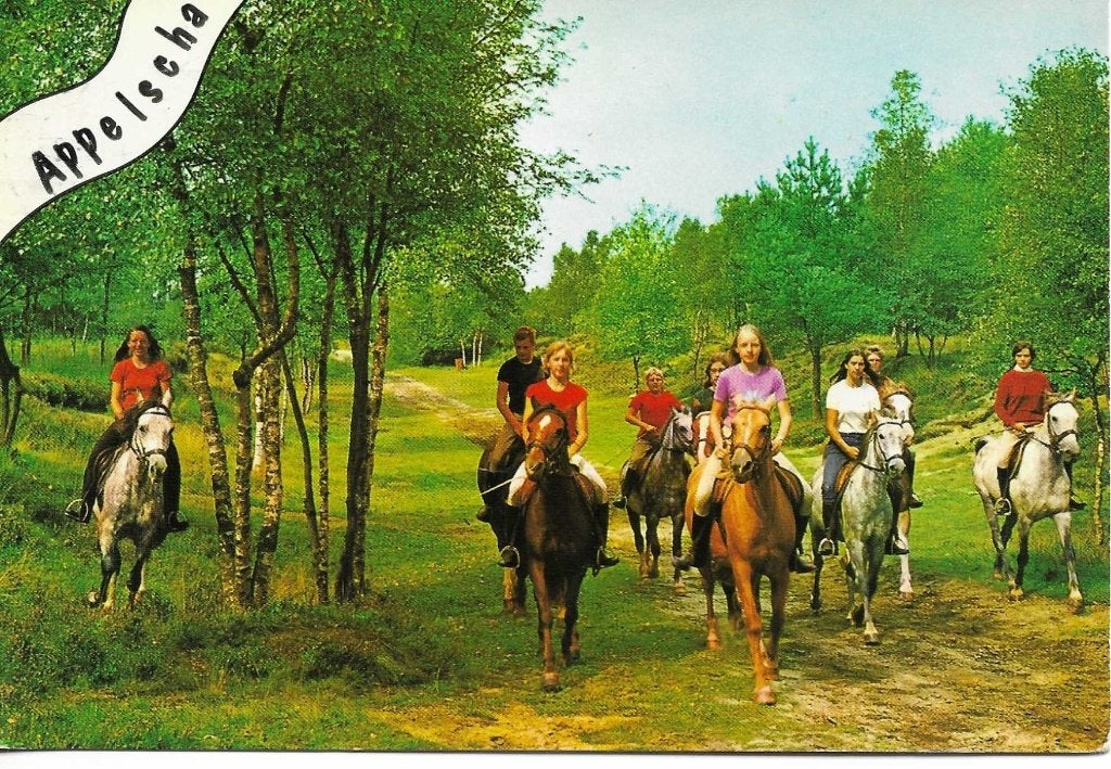 Appelscha- -Ruiters., Verzamelen, Ophalen of Verzenden, 1960 tot 1980, Gelopen, Friesland