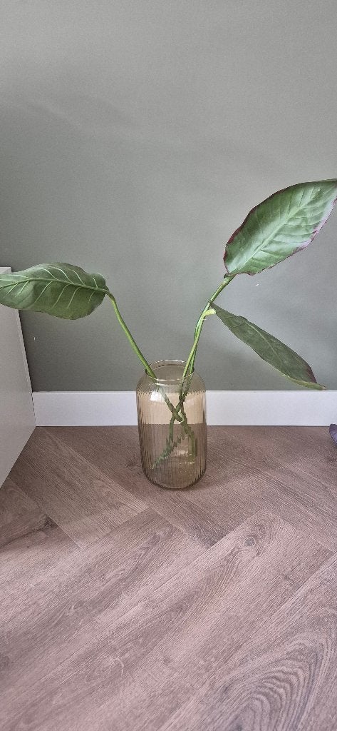 3x kunstbladeren met buigbare steel ca. 65 cm, Binnen, Groen, Kunstbloem, Nieuw