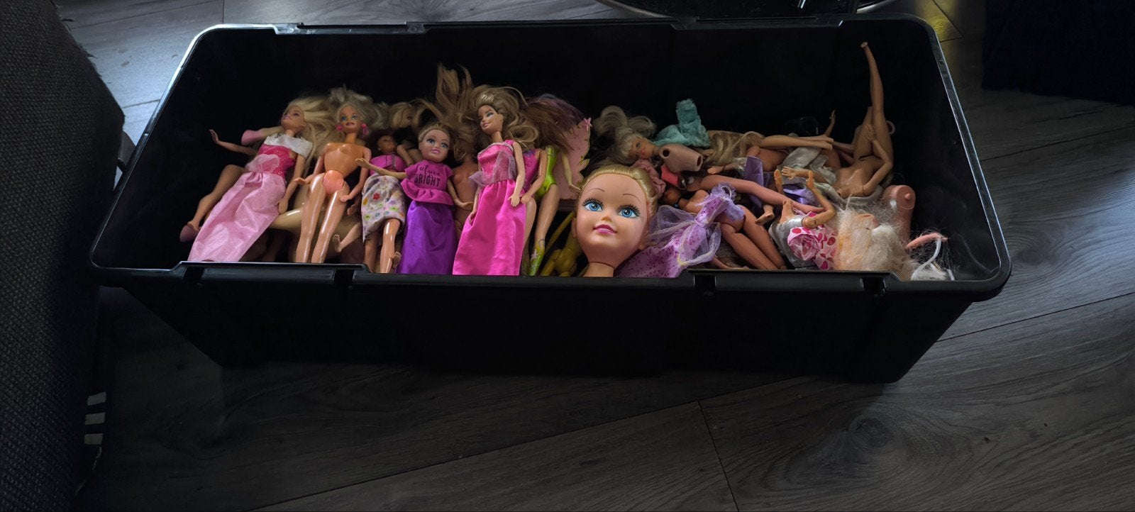 Grote doos vol Barbies, Ophalen, Gebruikt, Barbie
