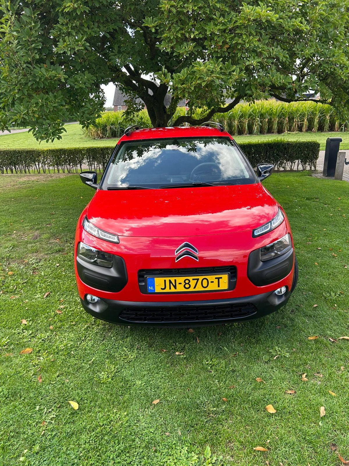 Citroën C4 Cactus  1.2 E-vti 82 Etg5 Airdream 2016 Rood, 725 kg, 31 €/maand, 23 km/l, Origineel Nederlands