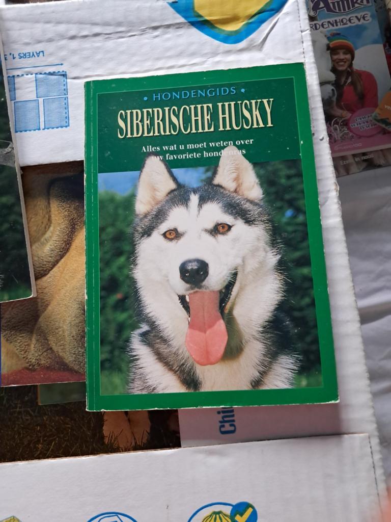 Siberische husky, Ophalen, Zo goed als nieuw, Honden