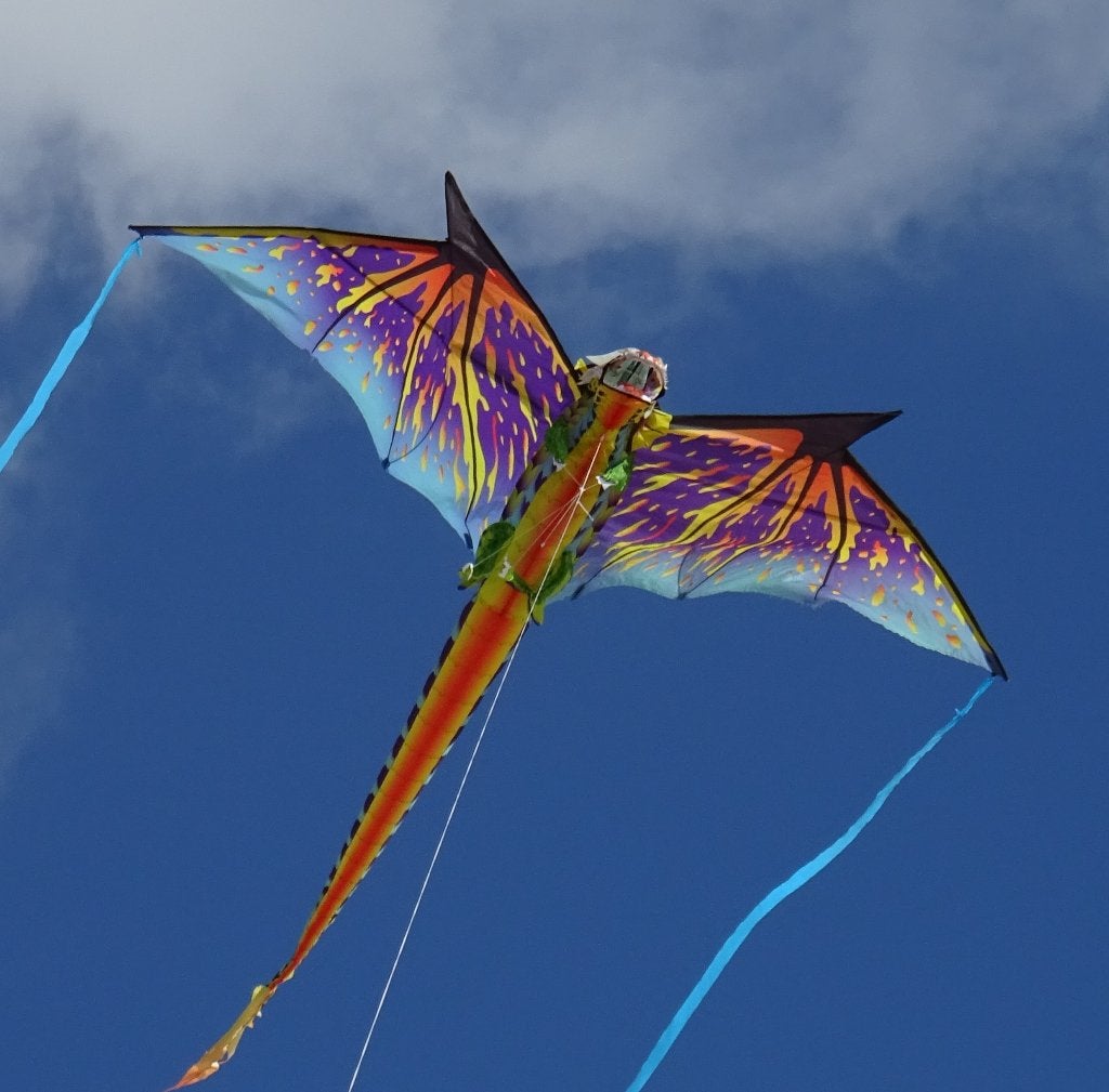 WindNSun 3D Dragon vlieger, Sport en Fitness, Vliegeren, Ophalen, Eenlijns, Vlieger