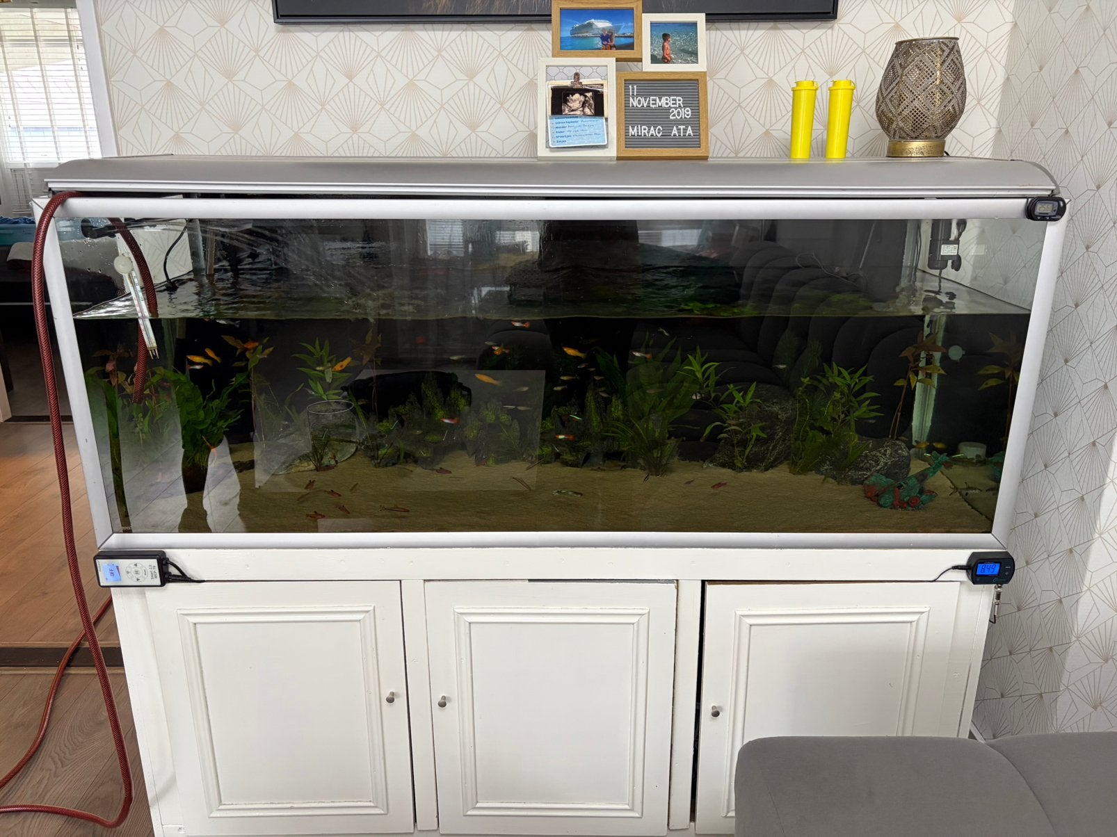 AkvaStabil Fusion 160 compleet aquarium, Dieren en Toebehoren, Ophalen of Verzenden, Zo goed als nieuw, Gevuld zoetwateraquarium