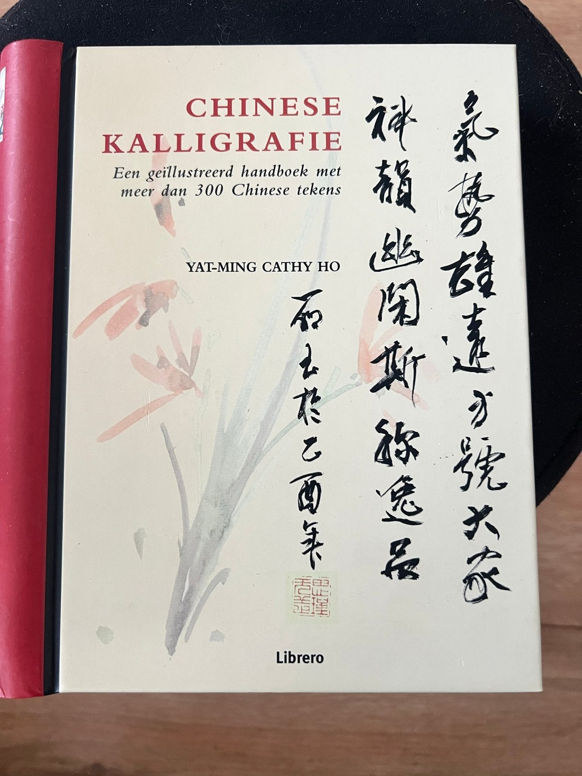 Chinees Kalligrafie Handboek - Yat-Ming Cathy Ho, Ophalen of Verzenden, Zo goed als nieuw, Non-fictie