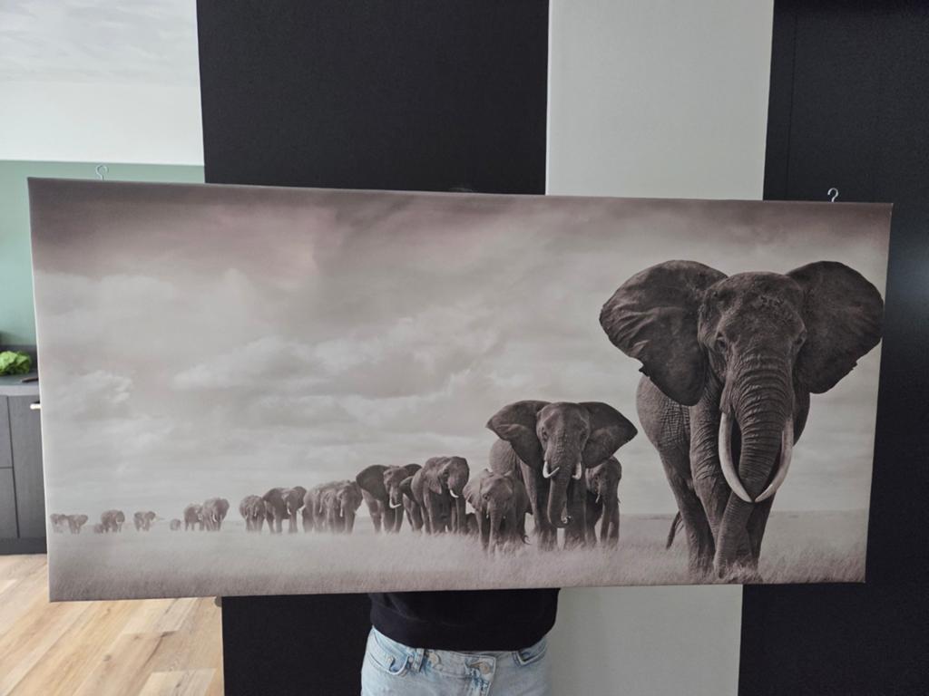Canvas schilderij olifanten familie - zwart-wit, Huis en Inrichting, Woonaccessoires | Schilderijen, Tekeningen en Foto's, 50 tot 75 cm