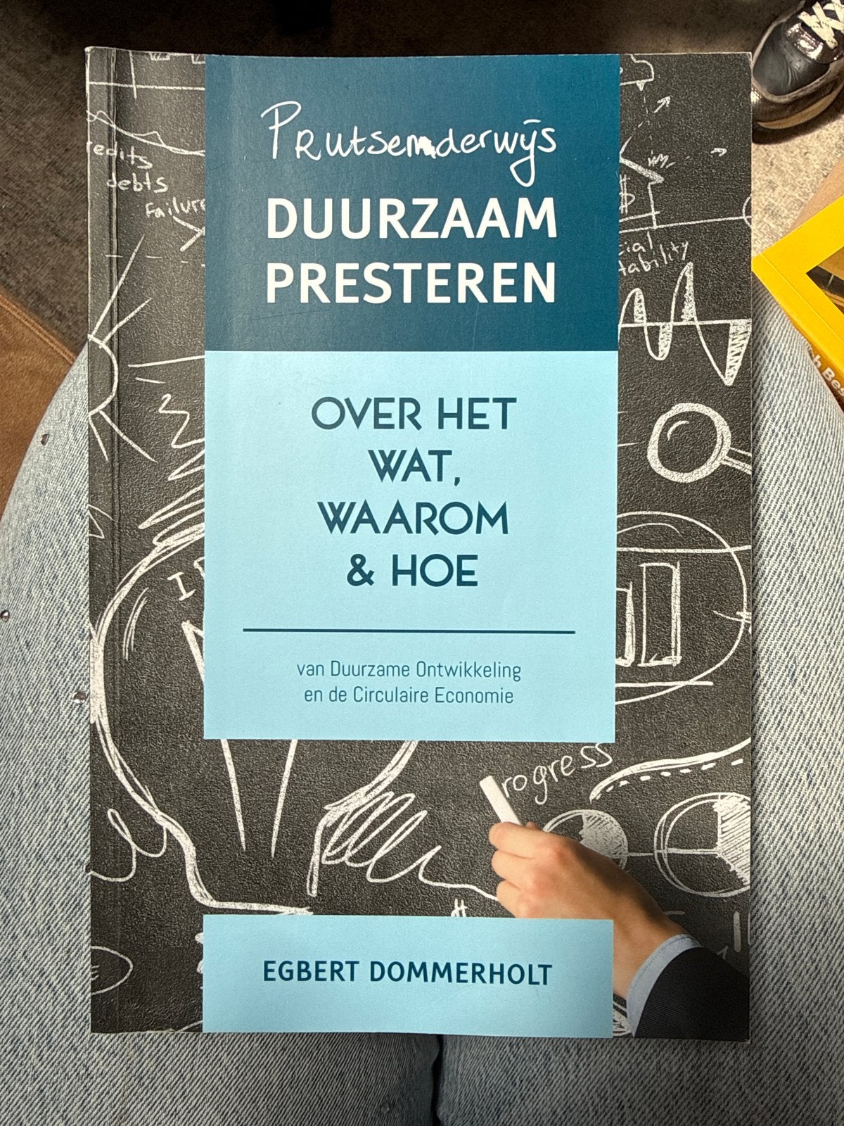 Prutsemderwijs Duurzaam Presteren - Egbert Dommerholt, Ophalen of Verzenden, Zo goed als nieuw
