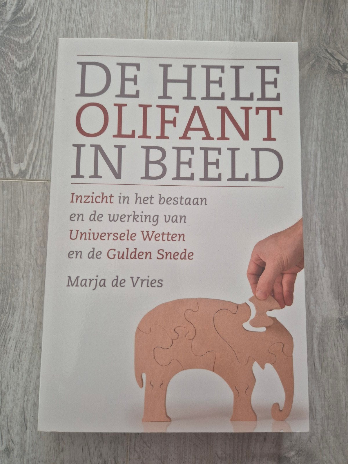 Marja de Vries - De hele olifant in beeld, Achtergrond en Informatie, Ophalen of Verzenden, Zo goed als nieuw, Marja de Vries