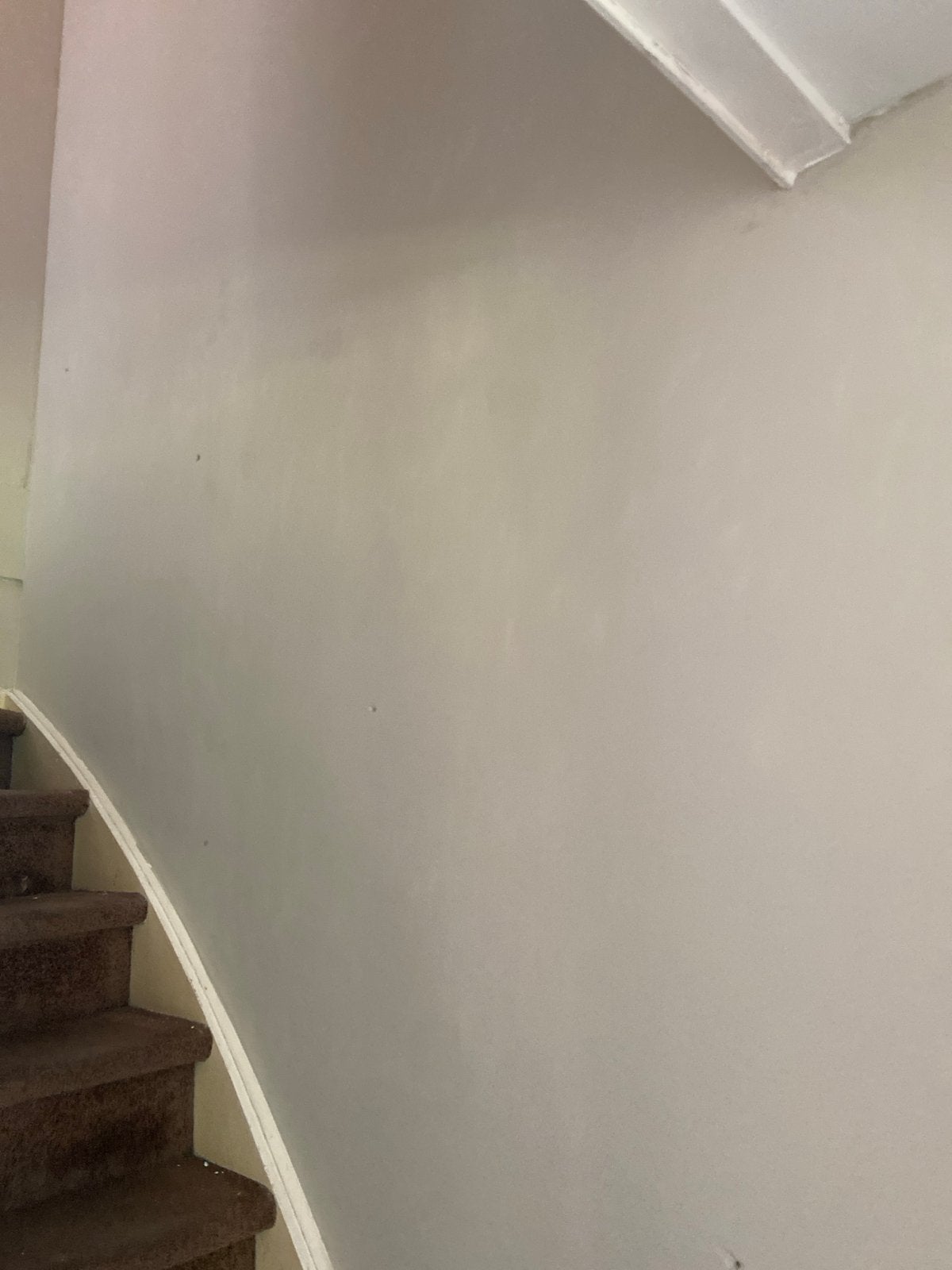 Muurverf 2,5L Zandsteen Trendy Kleur Goed Dekkend Karwei, Doe-het-zelf en Verbouw, Beige, Nieuw, Ophalen of Verzenden, Verf