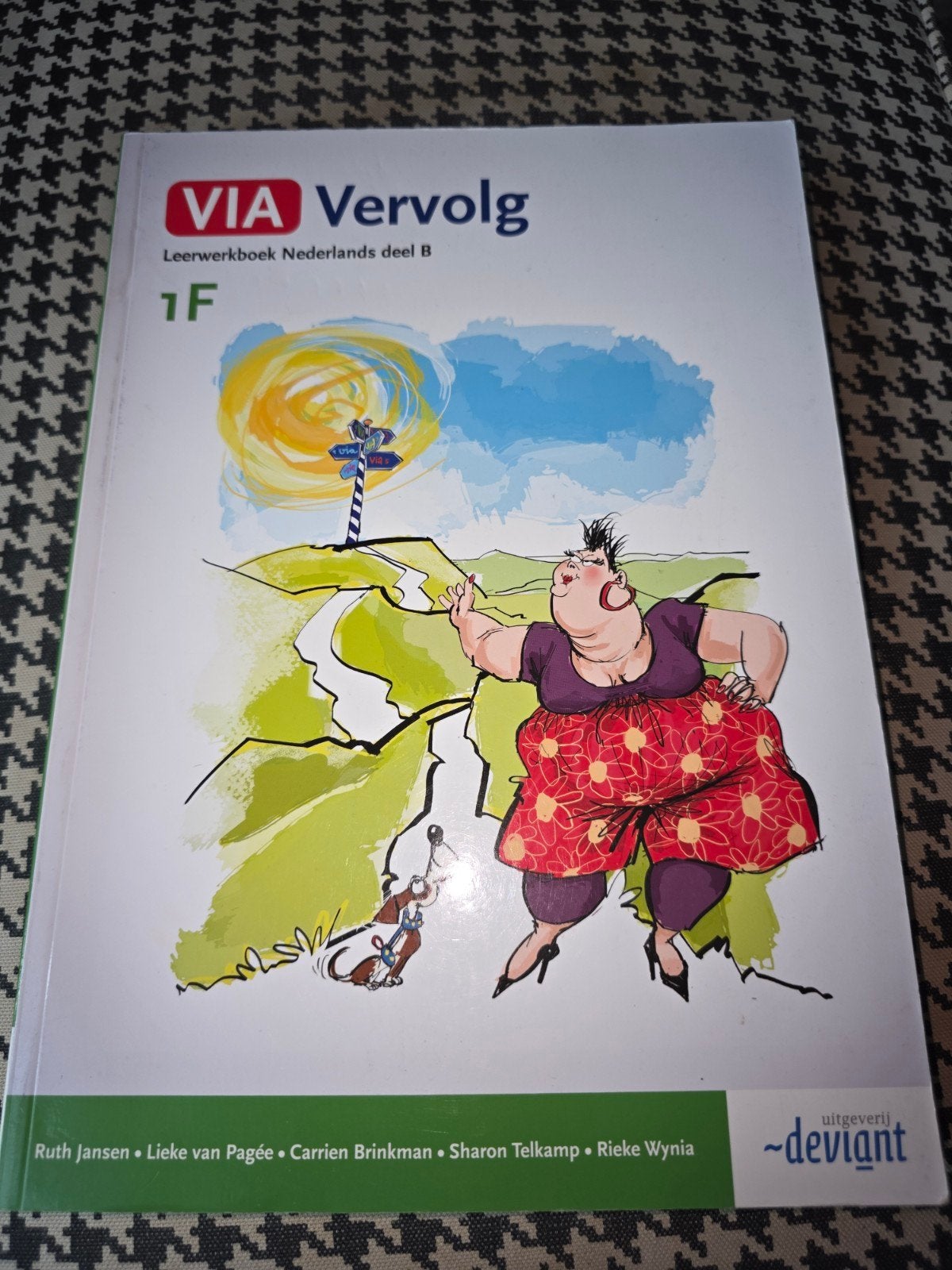 VIA Vervolg 1F Leerwerkboek Nederlands deel B, Boeken, Schoolboeken, Gelezen, Nederlands, Overige niveaus, Ophalen of Verzenden