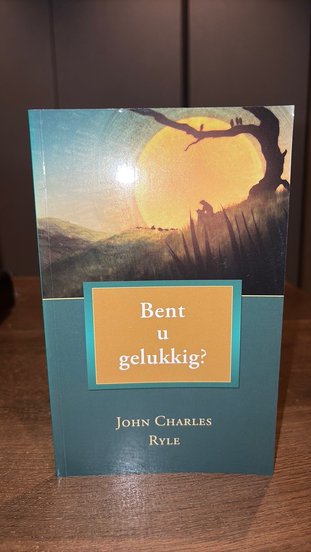 J.C. Ryle - Bent u gelukkig?, Ophalen of Verzenden, Zo goed als nieuw, J.C. Ryle