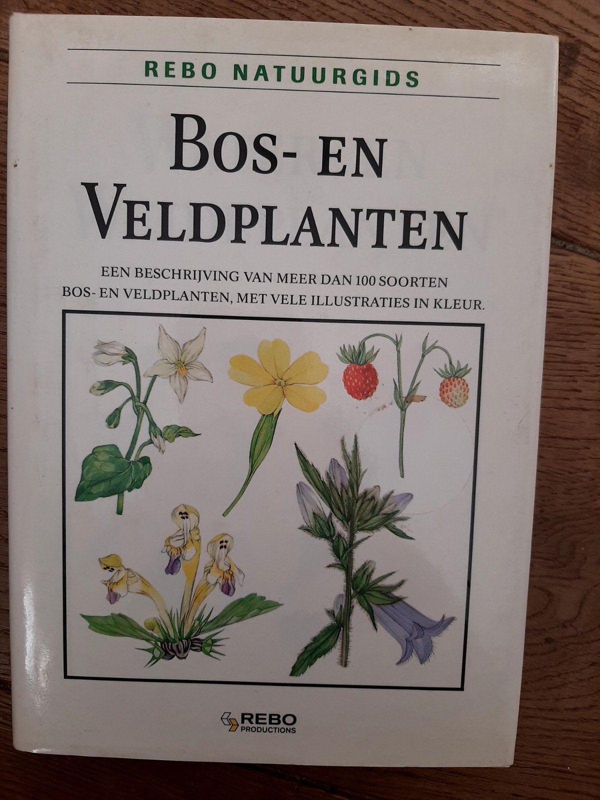 Rebo Natuurgids: Bos- en Veldplanten - Meer dan 100 soorten, Ophalen of Verzenden, Zo goed als nieuw, Bloemen, Planten en Bomen