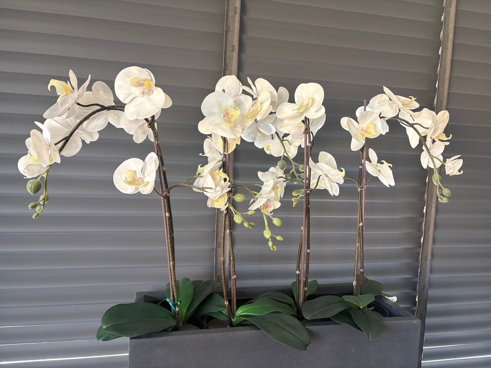 8 kunst orchideeën van ikea, Ophalen, Zo goed als nieuw