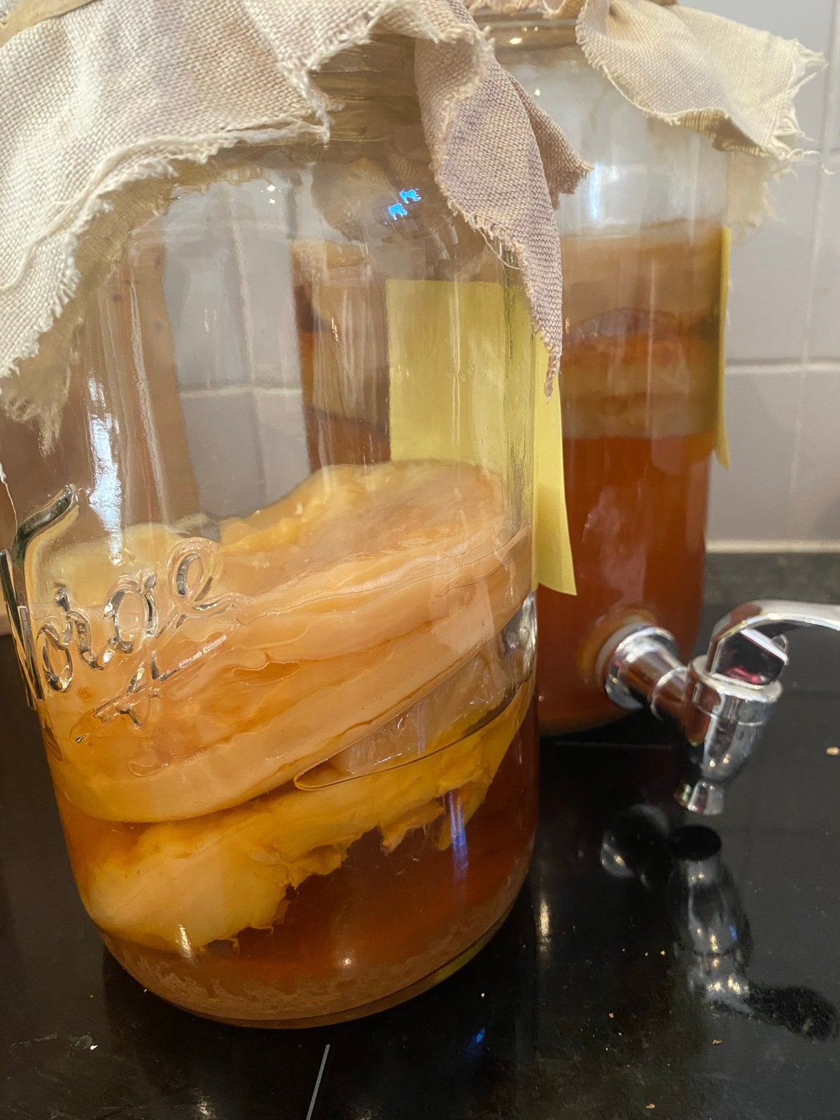 Kombucha gratis ophalen, Ophalen