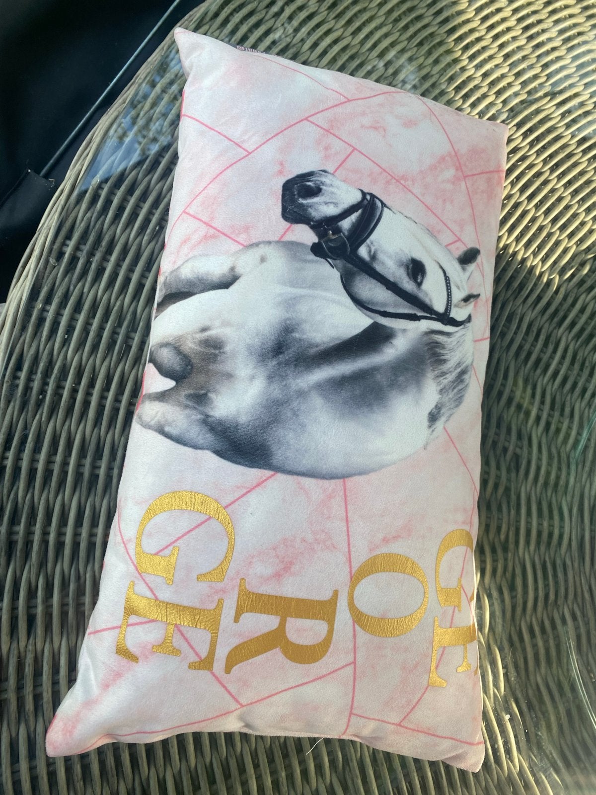 Kussen Paardenpraat - Roze met Paardenprint, Ophalen of Verzenden, Gebruikt, Roze, Rechthoekig