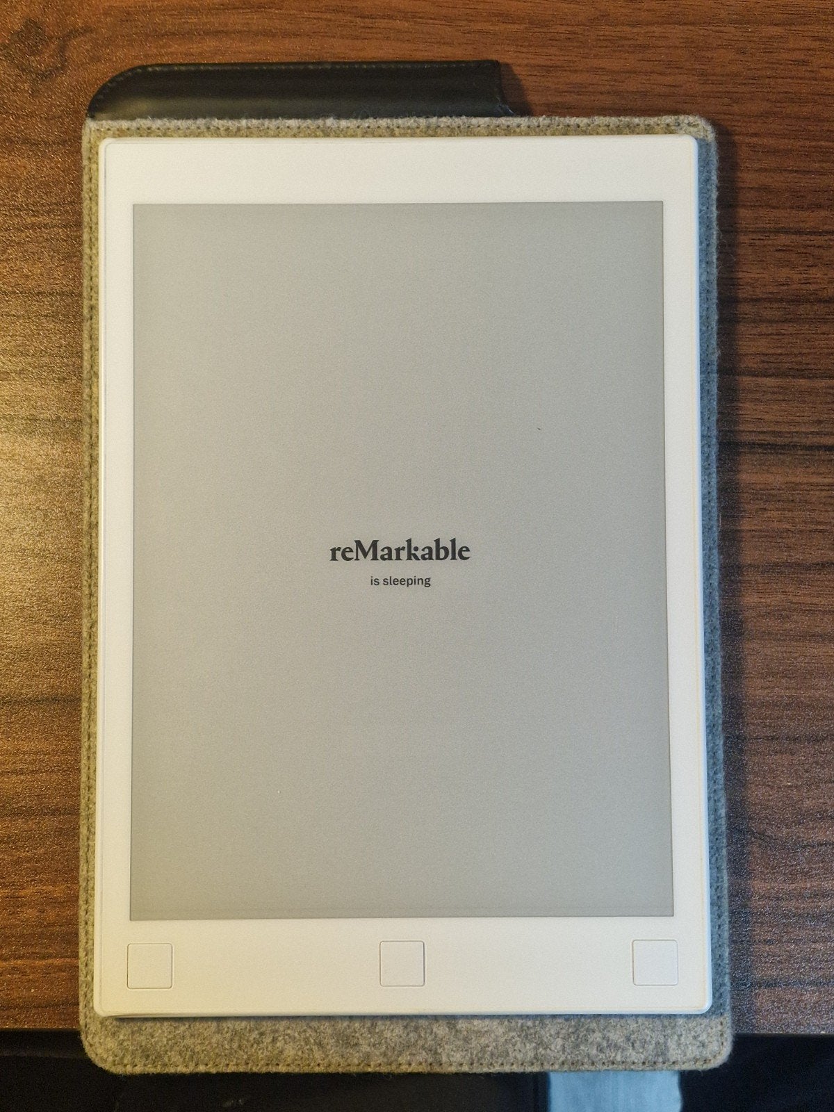 reMarkable RM100 e-reader, Computers en Software, 9 inch, ReMarkable, Ophalen of Verzenden, Zo goed als nieuw