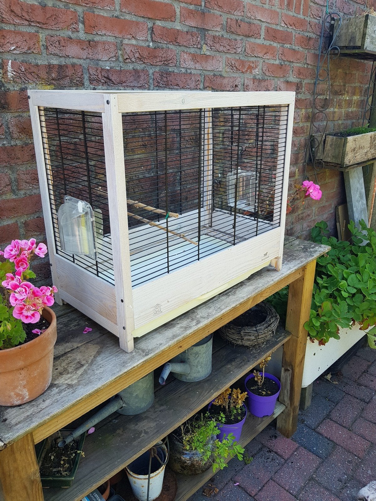 Leuke vogelkooi, Dieren en Toebehoren, Ophalen