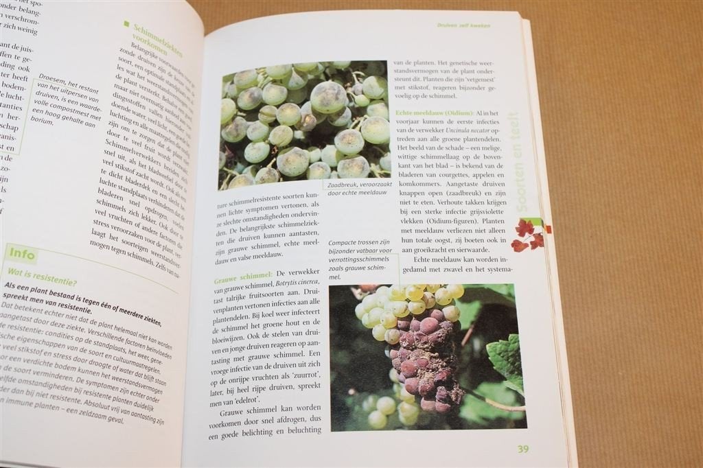 Druiven — Succesvol Kweken in de Moestuin, Ophalen of Verzenden, Zo goed als nieuw