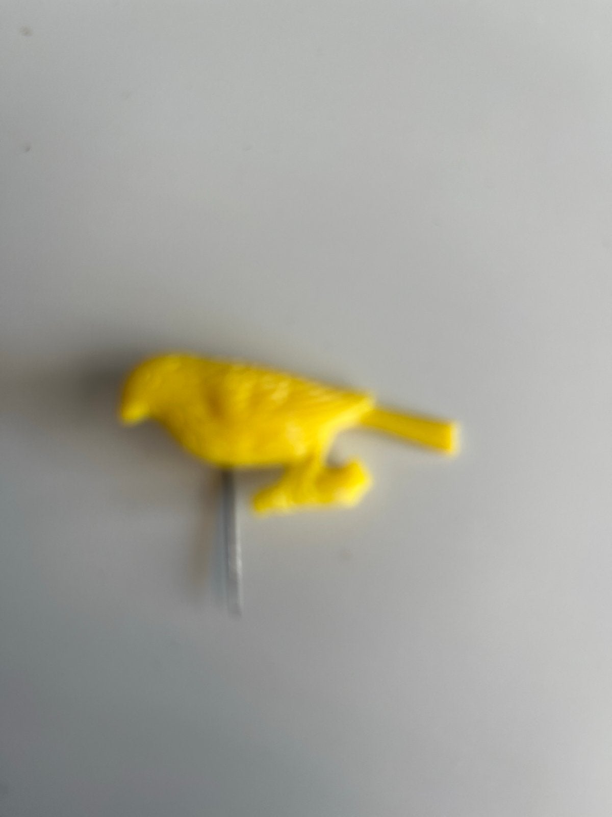 Speltje met gele vogel, Mannelijk, Kleurkanarie