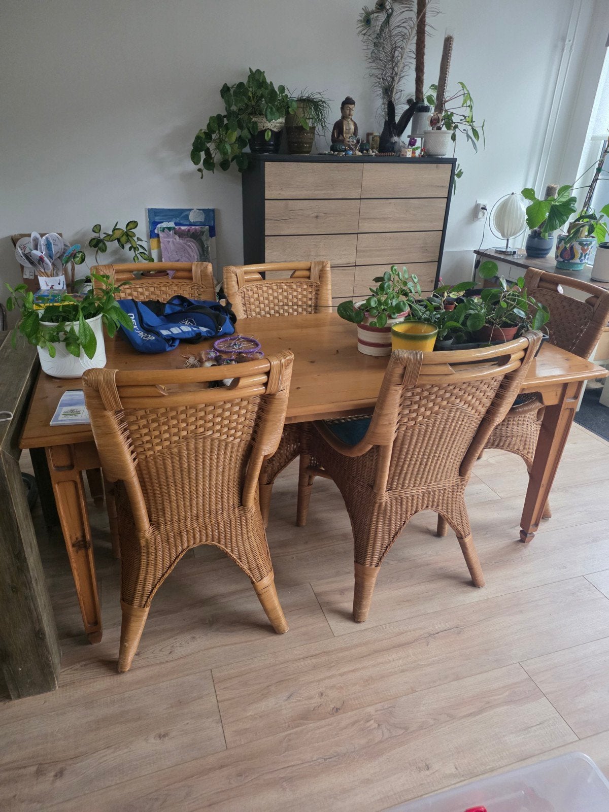 Gratis! 6 Rotan stoelen, Ophalen of Verzenden, Gebruikt, Rechthoekig, 50 tot 100 cm