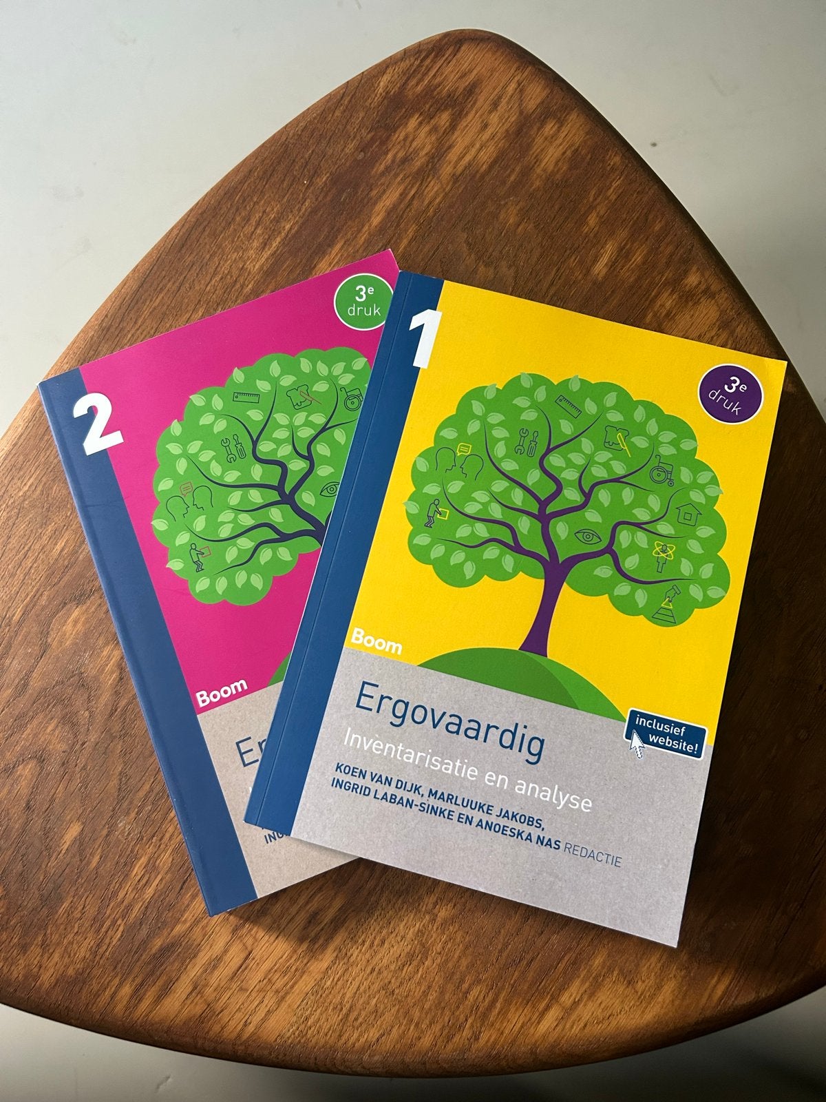 Ergovaardig 1 & 2 - Inventarisatie, analyse en interventies, Boeken, Ophalen of Verzenden, Gamma, Zo goed als nieuw, HBO