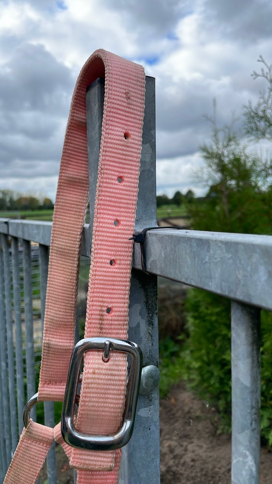 Dekje en halters, Ophalen of Verzenden