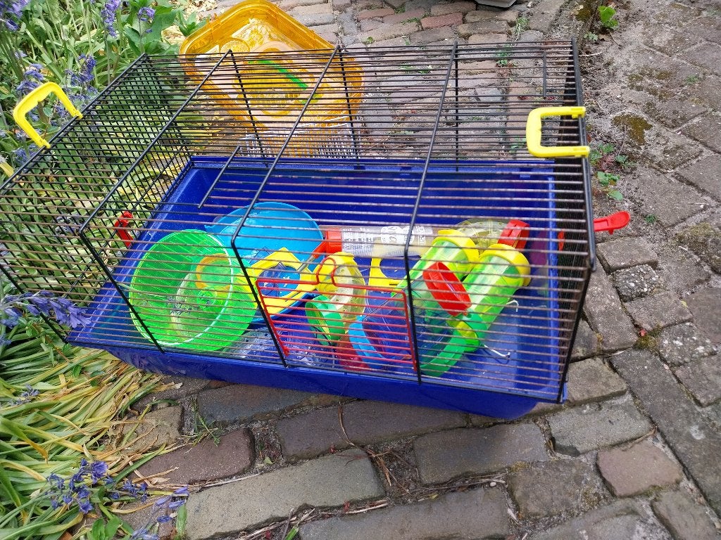 Hamster / Knaagdieren kooi, Ophalen, Kooi, Hamster, 90 cm of meer