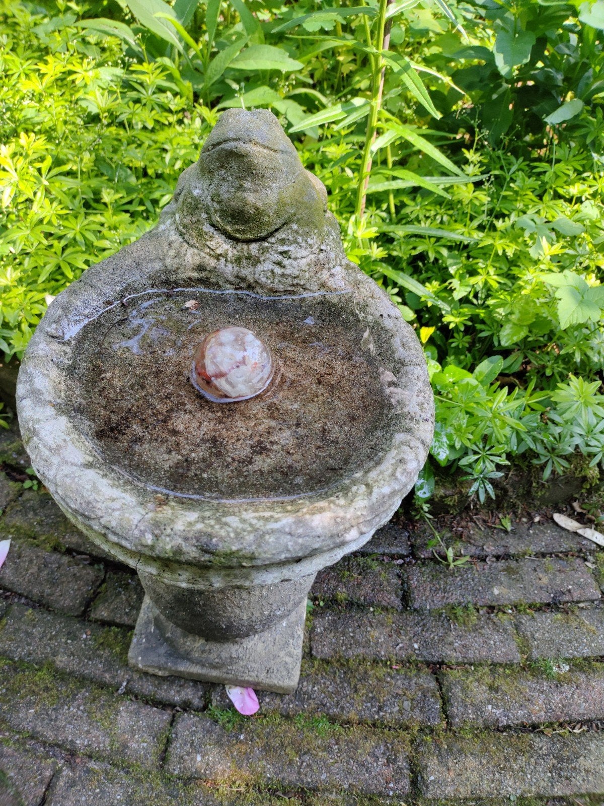 Vogelbadder/drinkwater schaal met kikker beton, Tuin en Terras, Tuinbeelden, Gebruikt, Ophalen