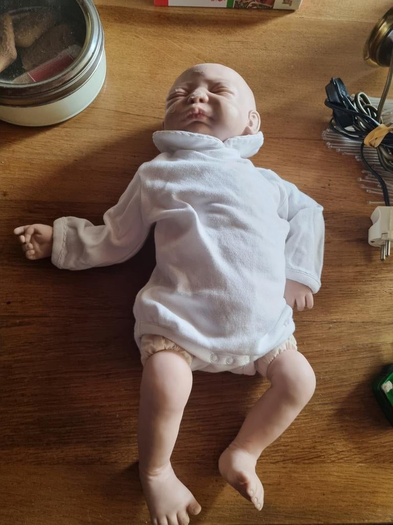 Reborn beschadiging, Verzamelen, Poppen, Ophalen, Pop