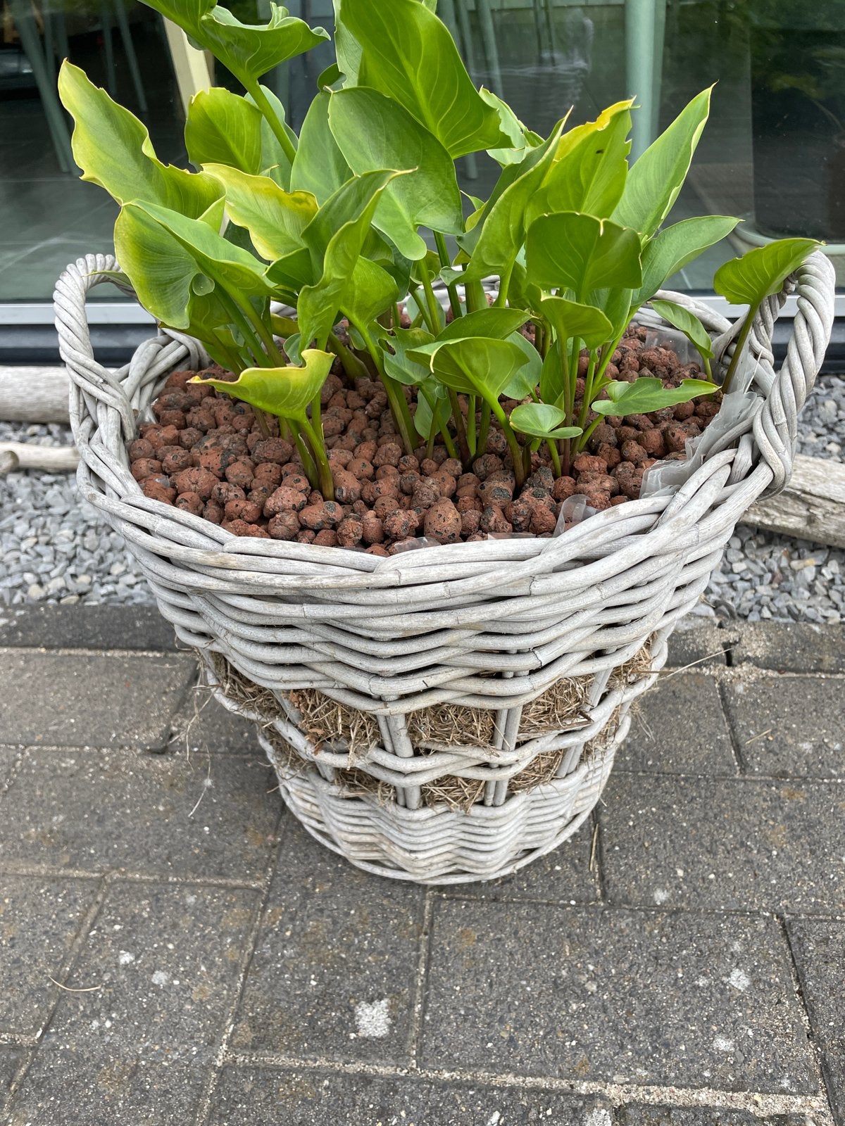 Gevlochten plantenmand met Aronskelk, Overige materialen, Gebruikt, Minder dan 60 cm, Rond