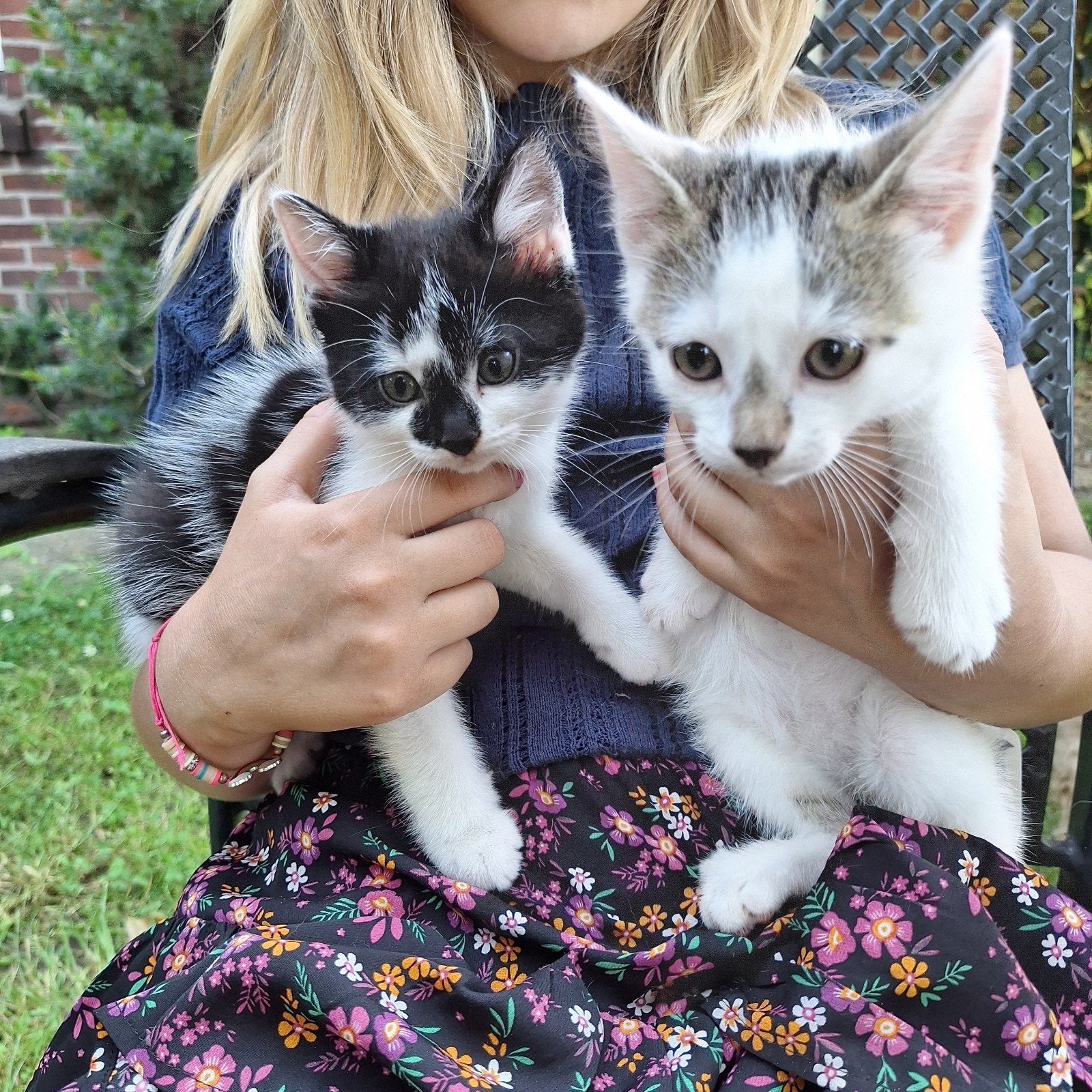 Speelse, leuke en lieve boerderij kittens, Meerdere dieren