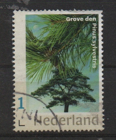 luijz ‹(•¿•)› nl m0064 boom - grove den, Ophalen of Verzenden, Na 1940, Gestempeld