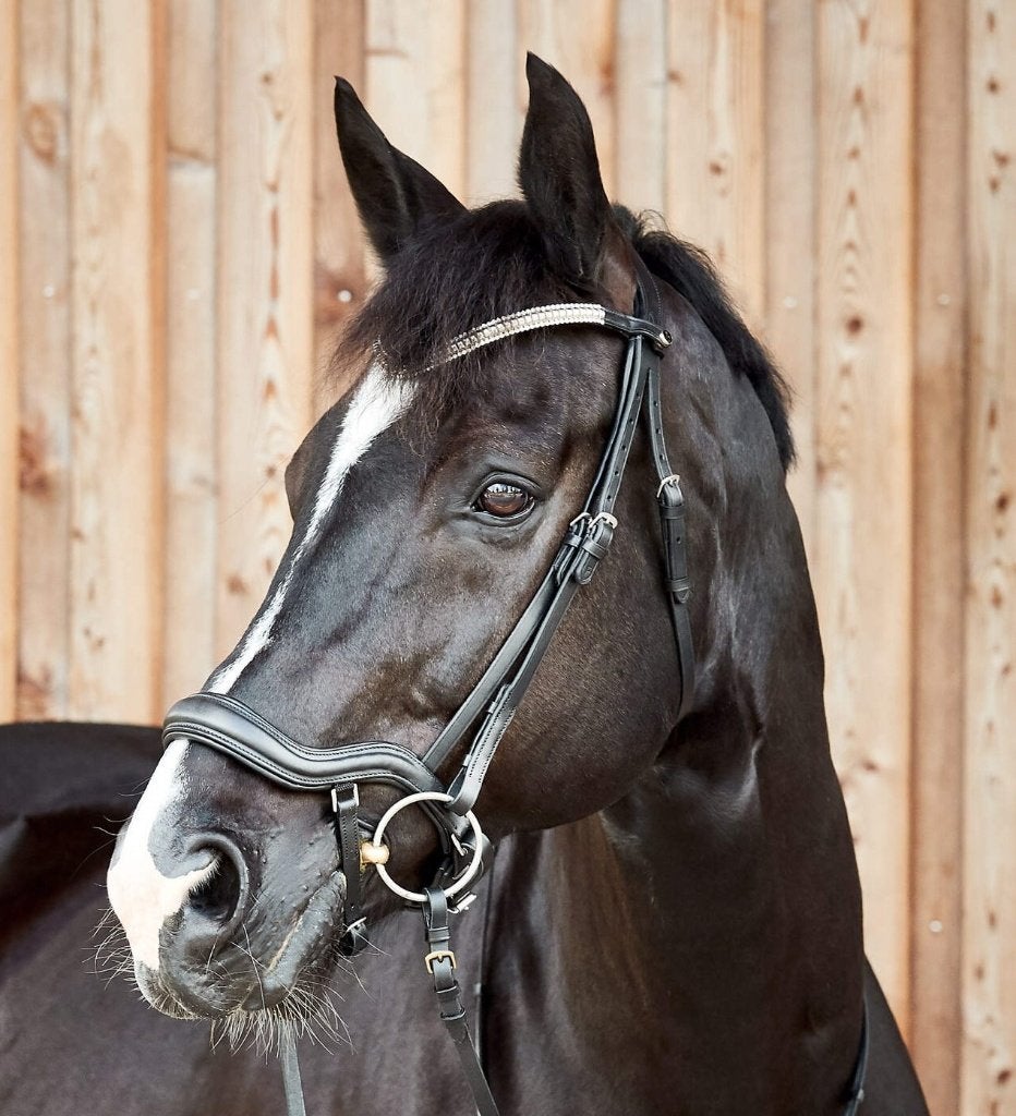 Horze Highbury hoofdstel maat Pony, Cob of Full, Hoofdstel, ., Nieuw, Ophalen of Verzenden