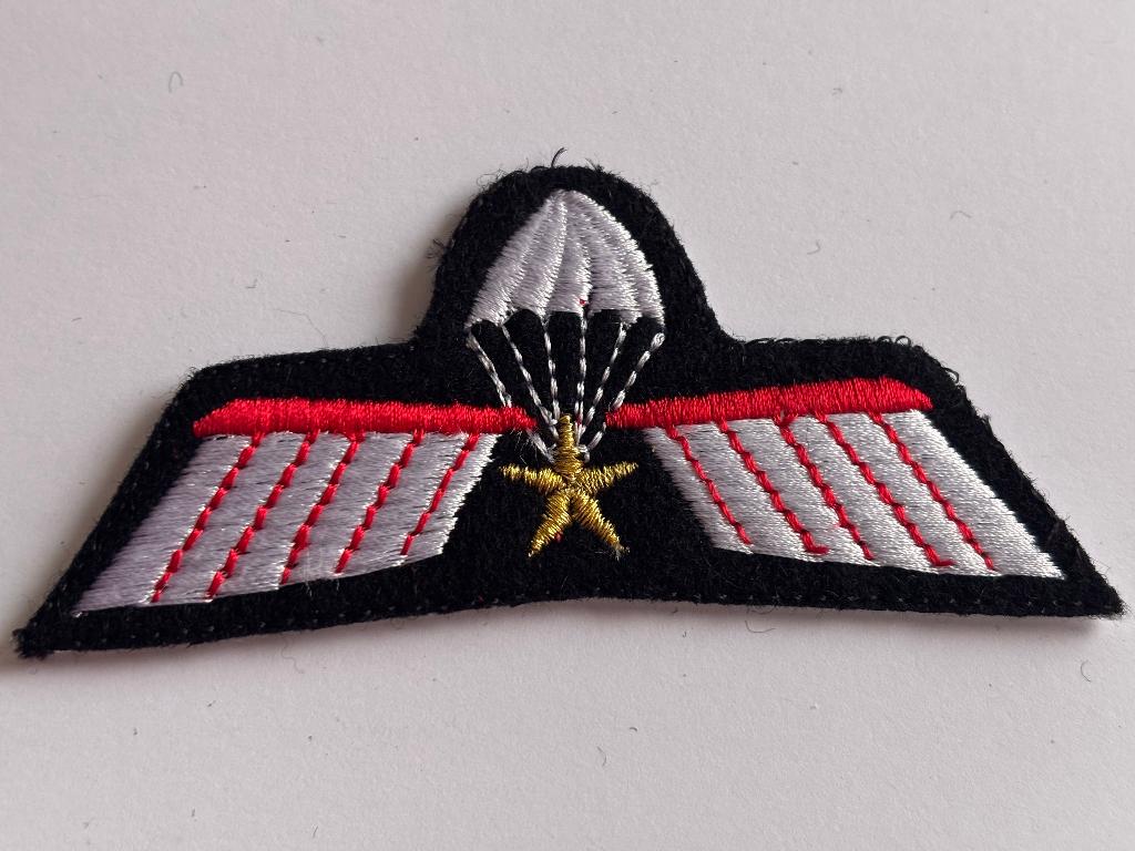 KCT Parawing A DT, Verzamelen, Militaria | Algemeen, Verzenden, Landmacht, Nederland, Kleding of Schoenen