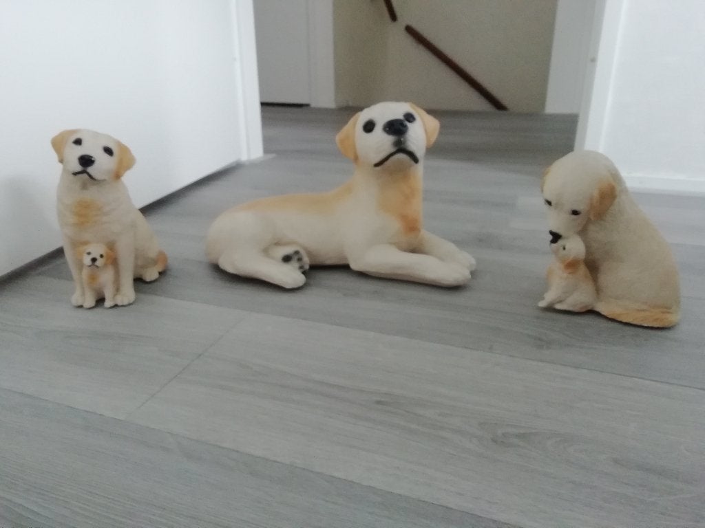Te koop, honden beelden, Ophalen, Zo goed als nieuw, Dier