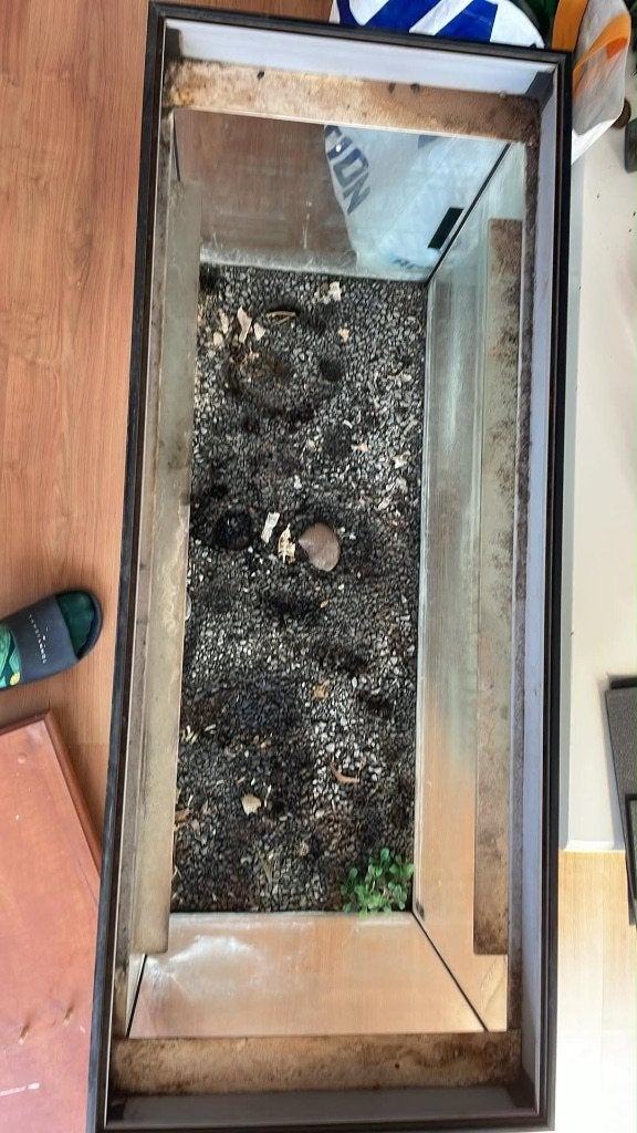 Aquarium 150 liter met complete uitrusting, Ophalen, Gebruikt, Leeg aquarium