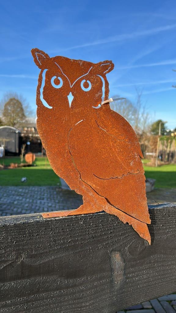 Roestige uil (met grondplaat), Ophalen of Verzenden, Nieuw