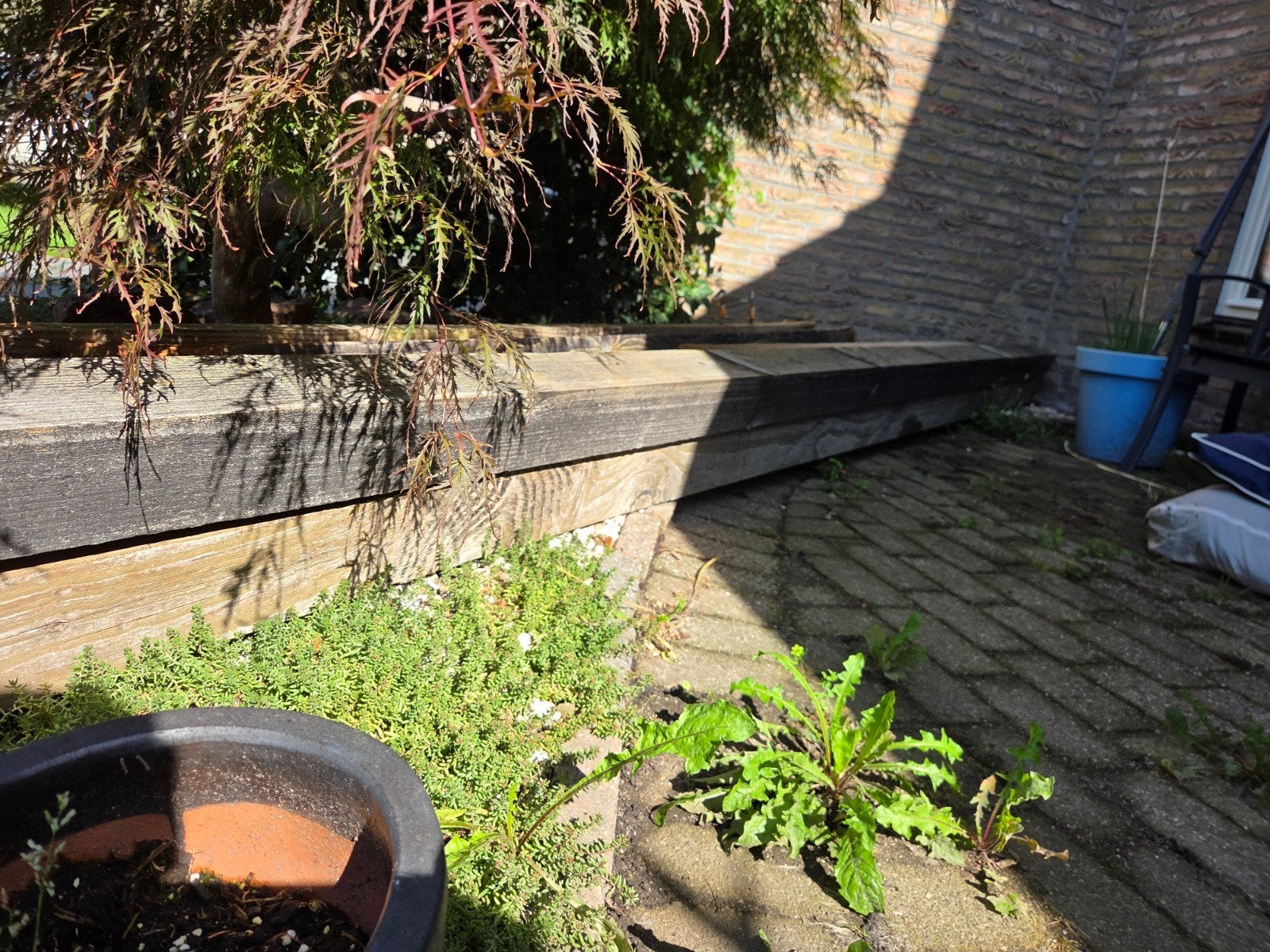 Houten palen voor pergola of tuinconstructie, Tuin en Terras, Ophalen, Gebruikt, 250 cm of meer, Palen