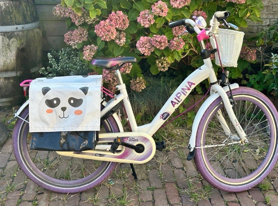 Alpina Kinderfiets 20 inch met fietstassen en mandje, Fietsen en Brommers, Ophalen, Gebruikt, 20 inch of meer