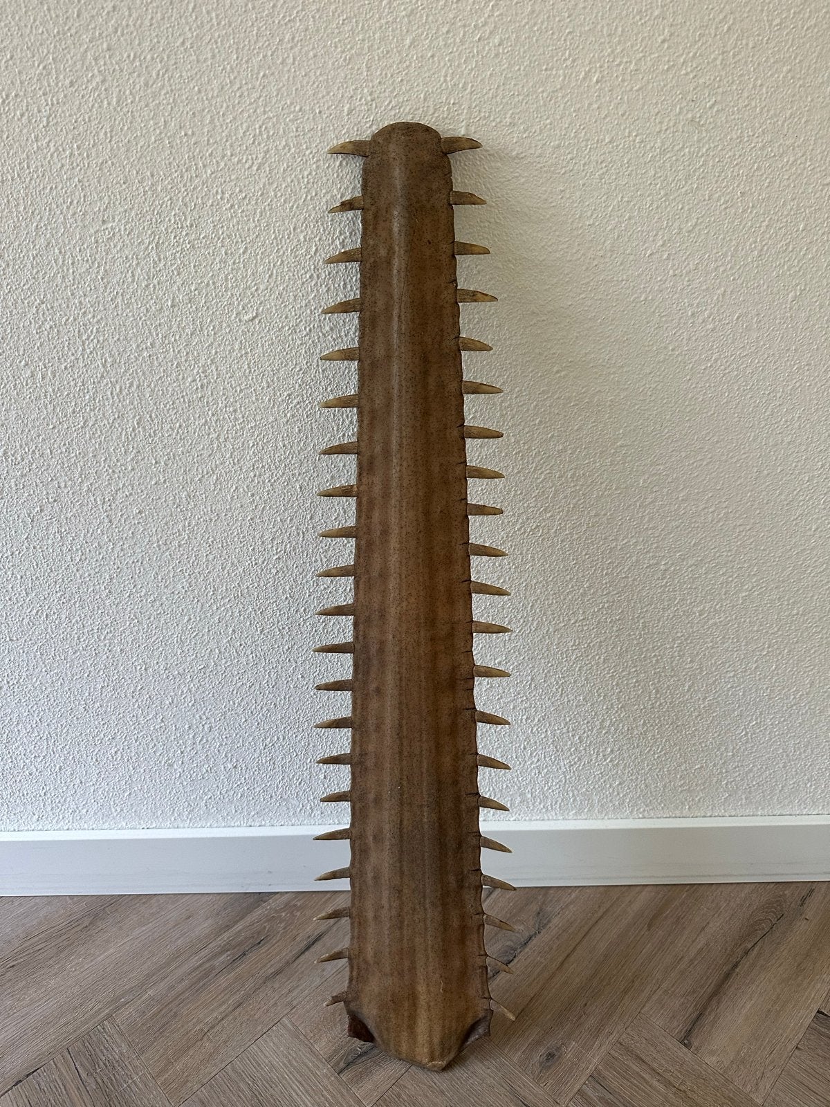 Historische zaagvisrostrum - 79cm lang, Ophalen
