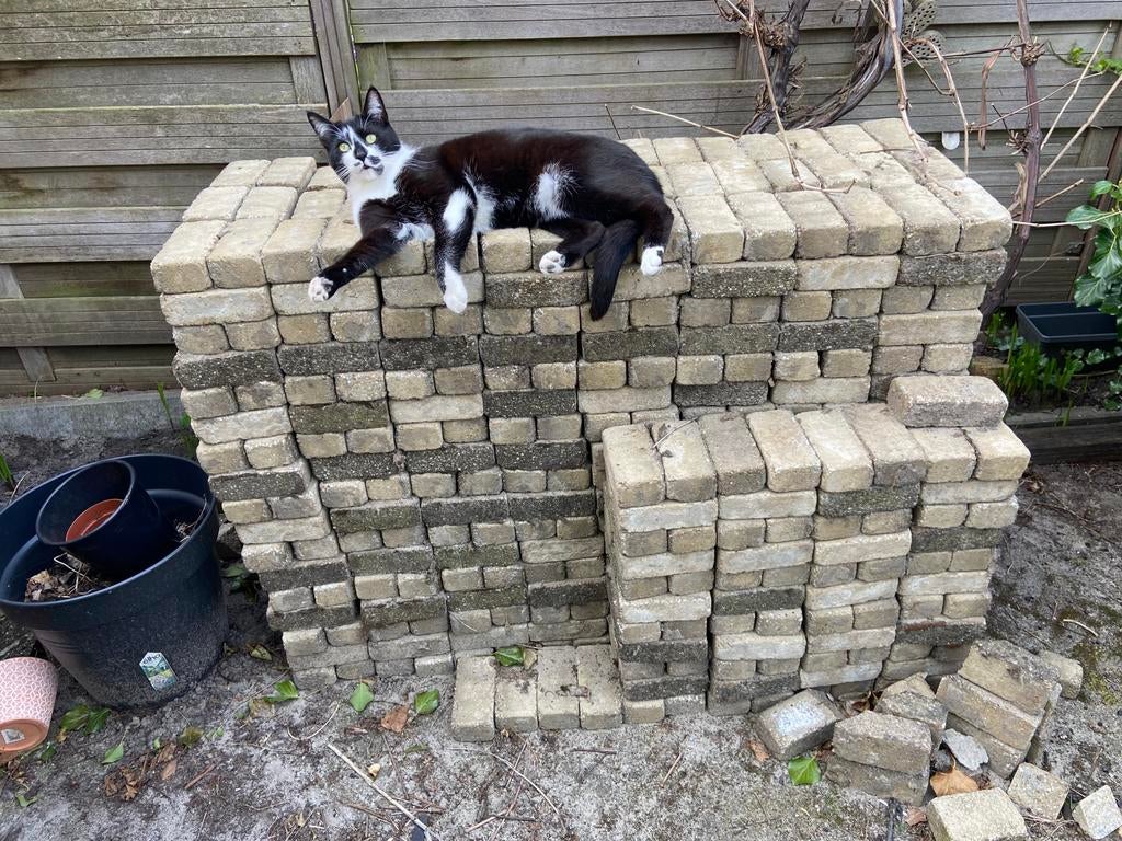 Gratis 10m2 klinkers voor je terras, Tuin en Terras, Tegels en Klinkers, Ophalen, Gebruikt, Klinkers, 10 m² of meer